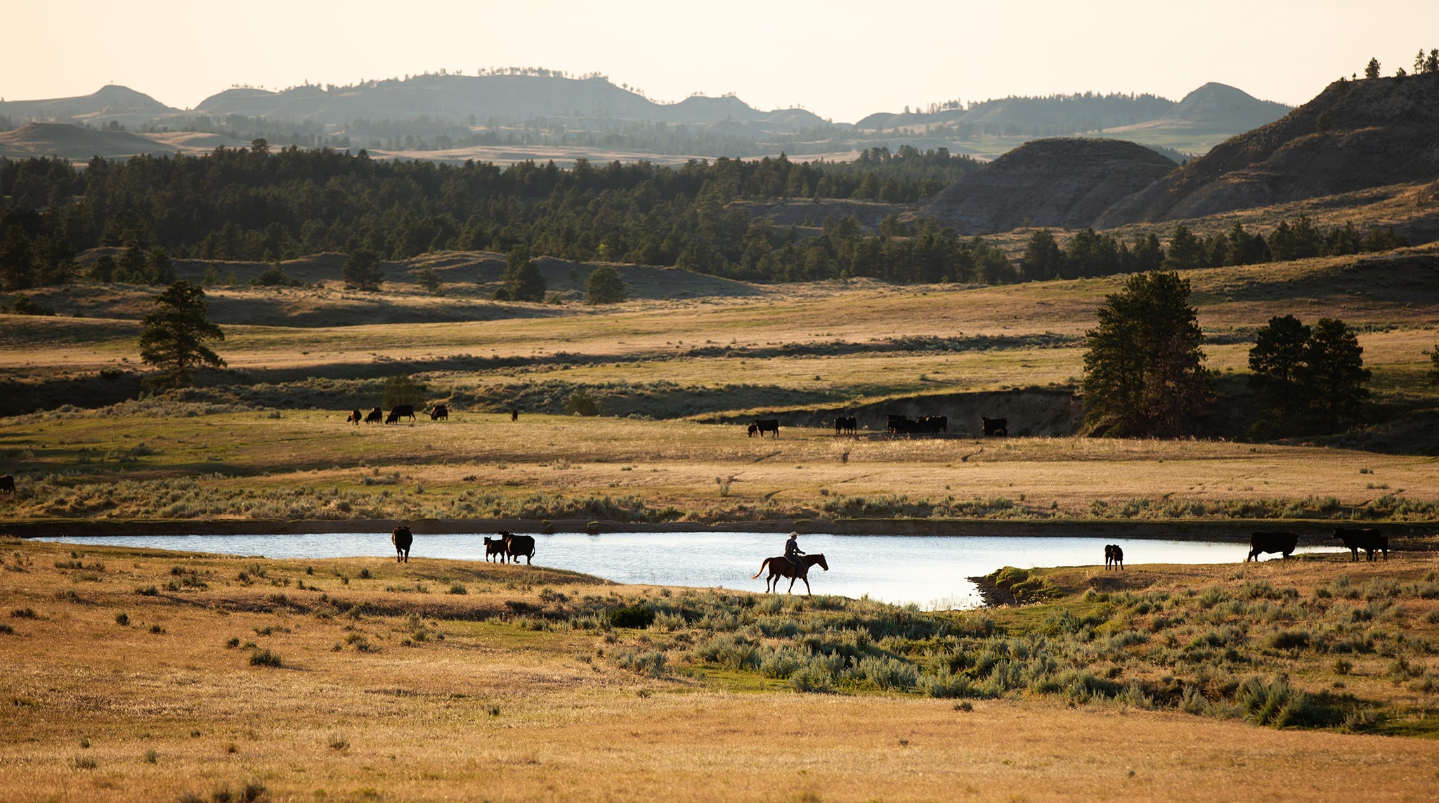 Garfield County Bank